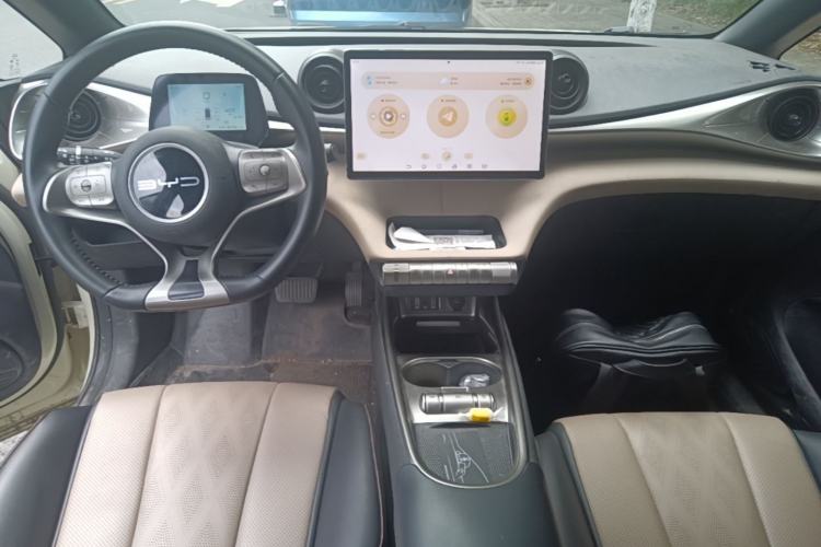 Used BYD Dolphin 2023 420 km Free Version Center Console
