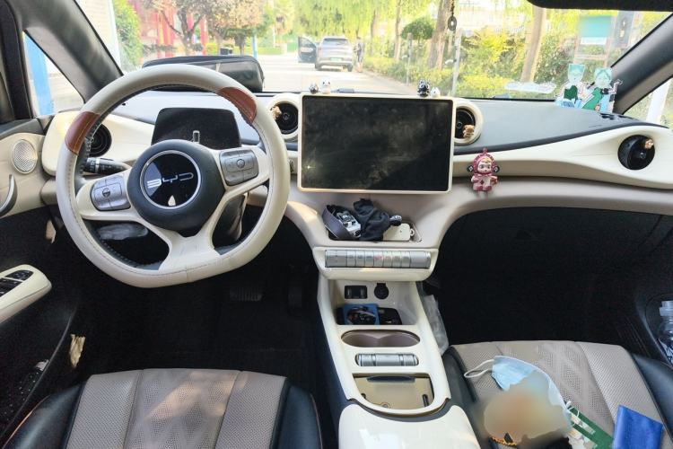 Used BYD Dolphin 2023 420 km Fashion Edition Center Console