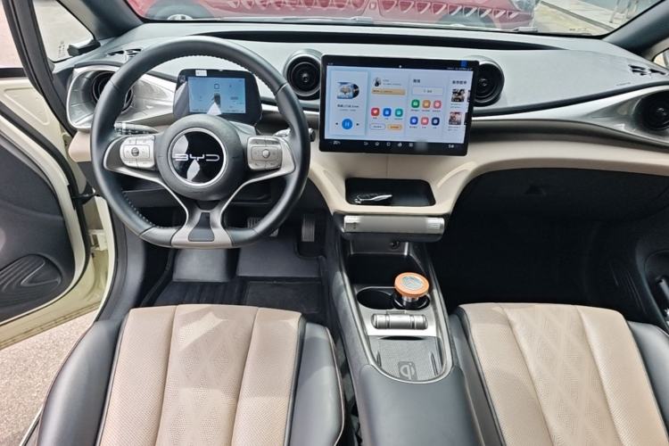 Used BYD Dolphin 2023 420 km Fashion Edition Center Console