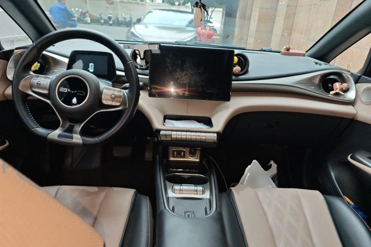 Used BYD Dolphin 2023 420 km Fashion Edition Center Console