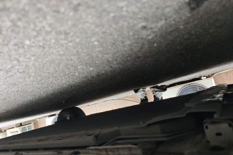 Used BYD Dolphin 2023 420 km Fashion Edition Chassis Front Left