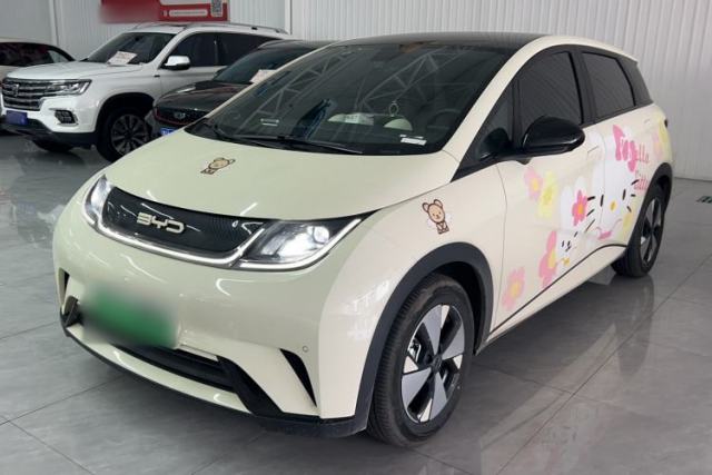 Used BYD Dolphin 2023 420 km Fashion Edition