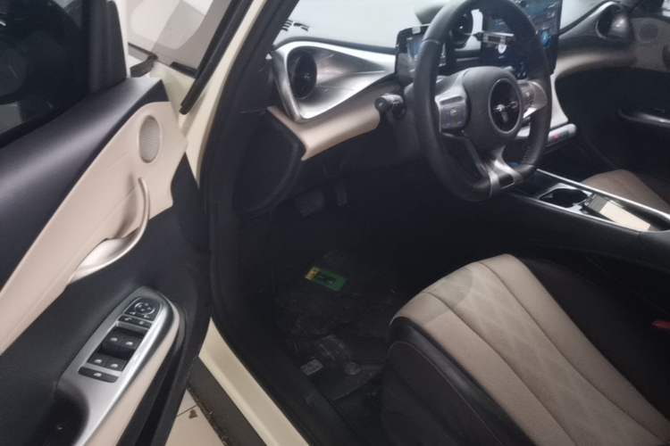 Used BYD Dolphin 2023 420 km Free Version Driver Seat
