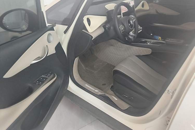 Used BYD Dolphin 2023 420 km Fashion Edition Driver Seat