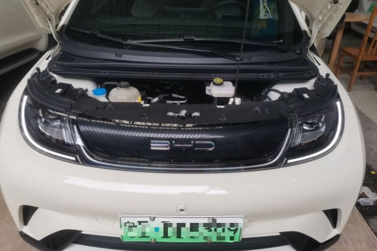 Used BYD Dolphin 2023 420 km Free Version Engine Bay
