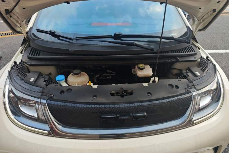 Used BYD Dolphin 2023 420 km Free Version Engine Bay