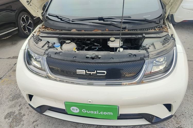 Used BYD Dolphin 2023 420 km Fashion Edition Engine Bay