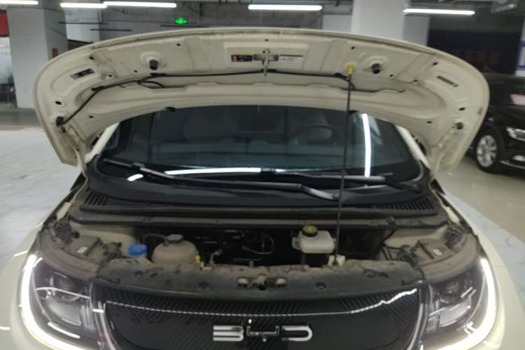 Used BYD Dolphin 2023 420 km Free Version Engine Bay