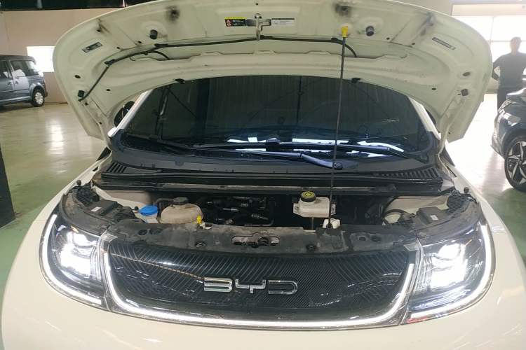 Used BYD Dolphin 2023 420 km Free Version Engine Bay