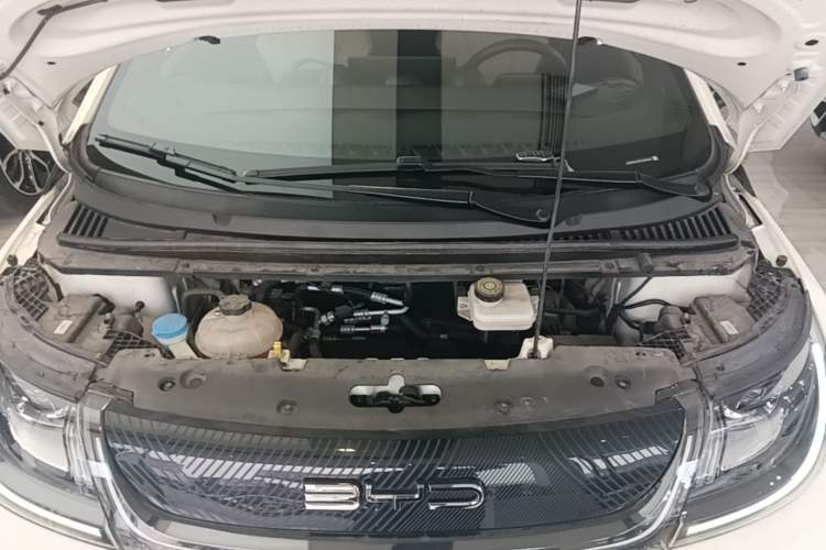Used BYD Dolphin 2023 420 km Free Version Engine Bay