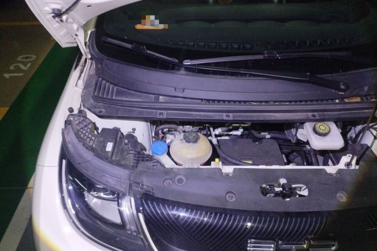 Used BYD Dolphin 2023 420 km Fashion Edition Engine Bay Right