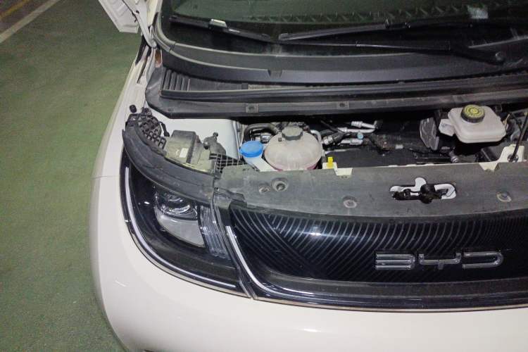 Used BYD Dolphin 2023 420 km Free Version Engine Bay Right