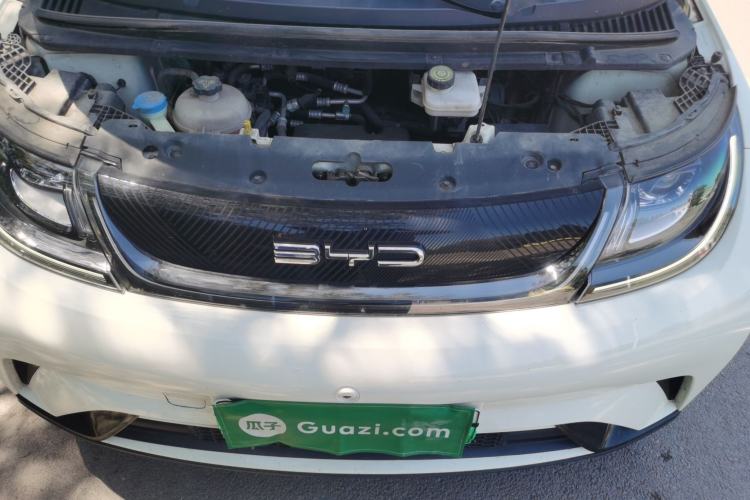 Used BYD Dolphin 2023 420 km Free Version Engine Bay