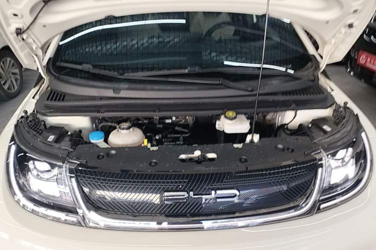 Used BYD Dolphin 2023 420 km Free Version Engine Bay