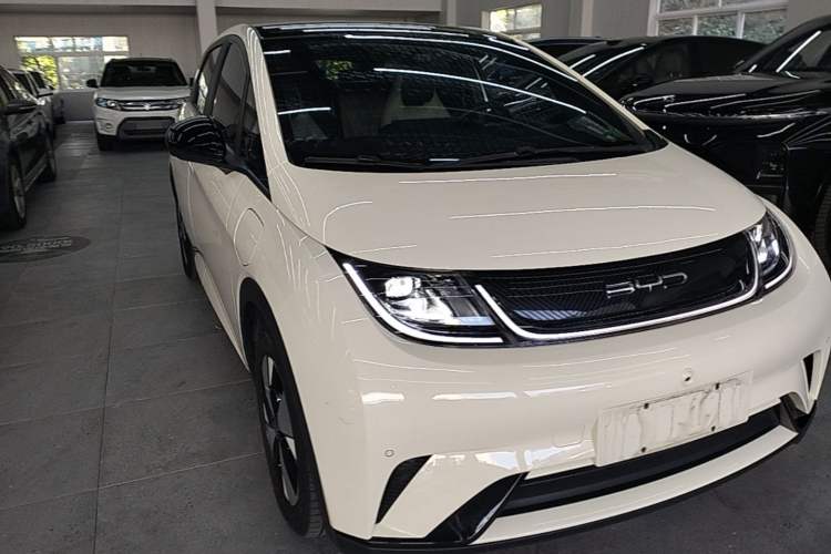 Used BYD Dolphin 2023 420 km Free Version Exterior 1