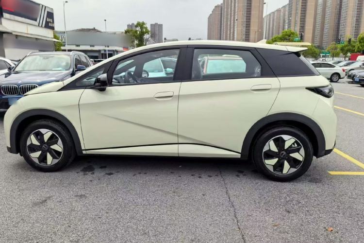 Used BYD Dolphin 2023 420 km Free Version Exterior 2