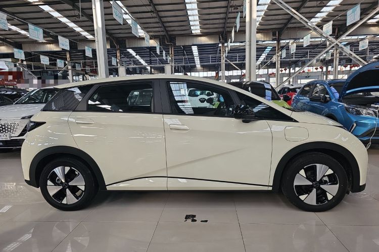 Used BYD Dolphin 2023 420 km Free Version Exterior 2