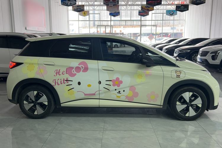 Used BYD Dolphin 2023 420 km Fashion Edition Exterior 2