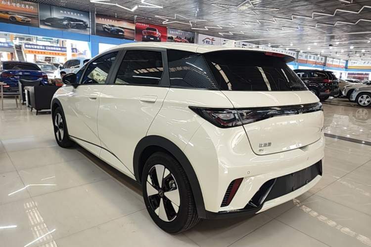 Used BYD Dolphin 2023 420 km Free Version Exterior 2