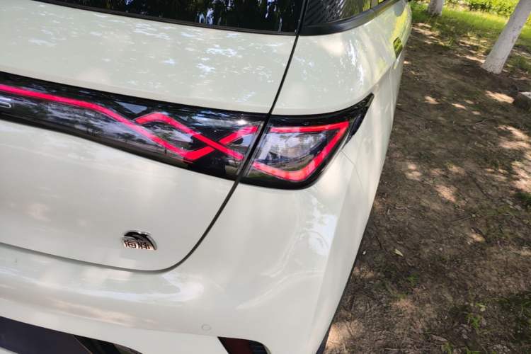 Used BYD Dolphin 2023 420 km Fashion Edition Exterior 3