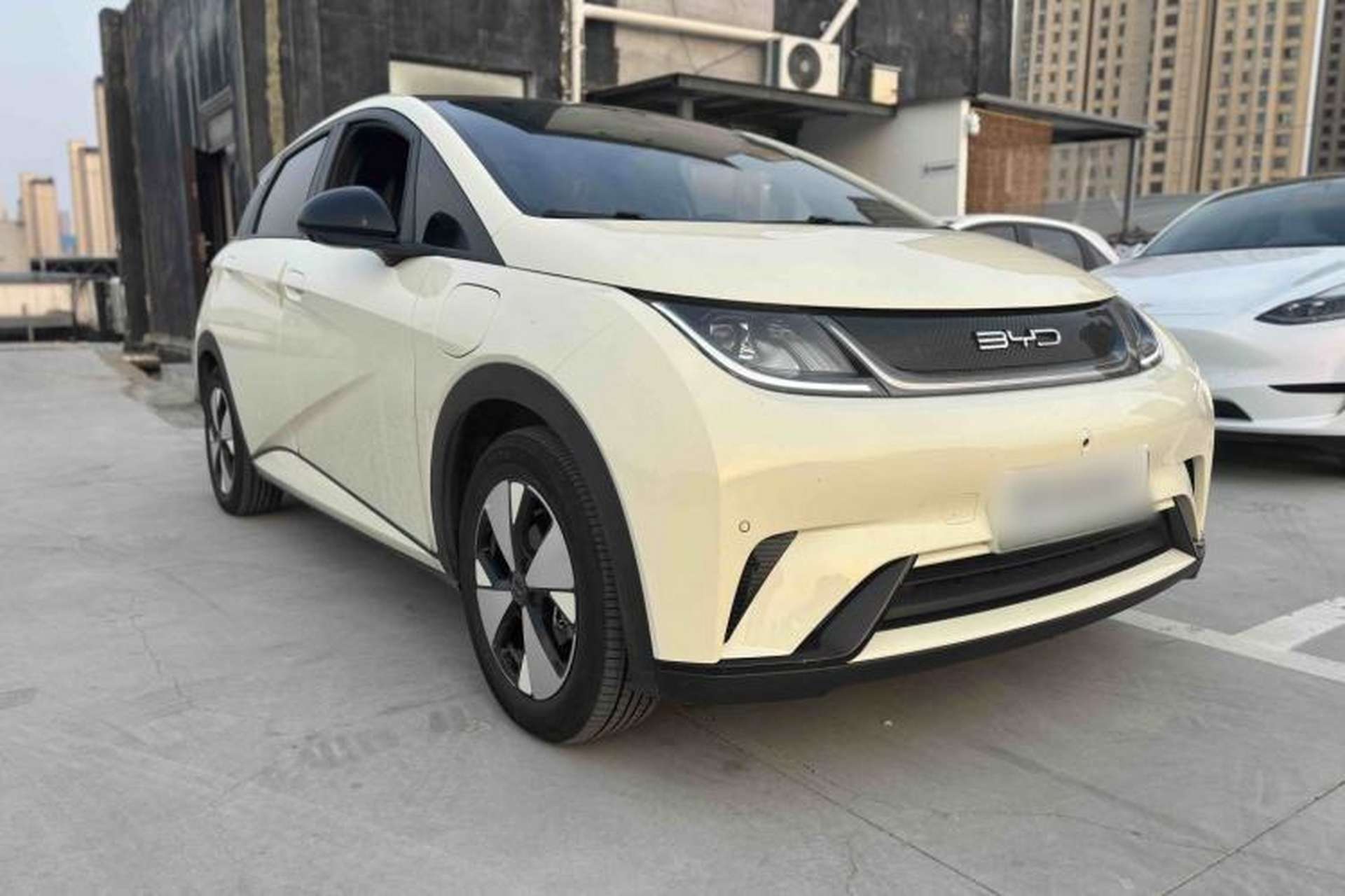Used BYD Dolphin 2023 420 km Fashion Edition Exterior 3