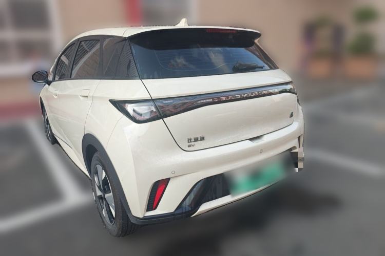 Used BYD Dolphin 2023 420 km Free Version Exterior 3