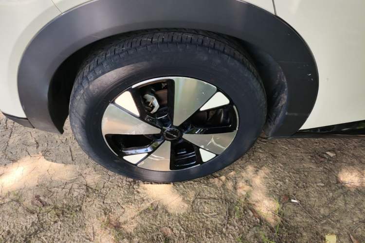Used BYD Dolphin 2023 420 km Fashion Edition Exterior 5