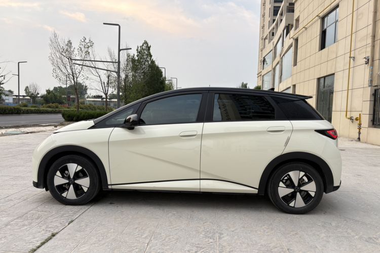 Used BYD Dolphin 2023 420 km Fashion Edition Exterior 7