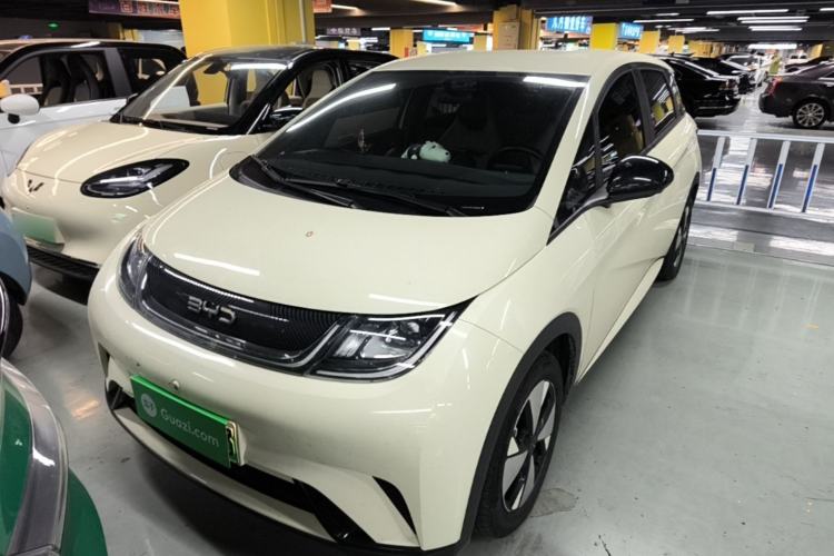 Used BYD Dolphin 2023 420 km Free Version Front