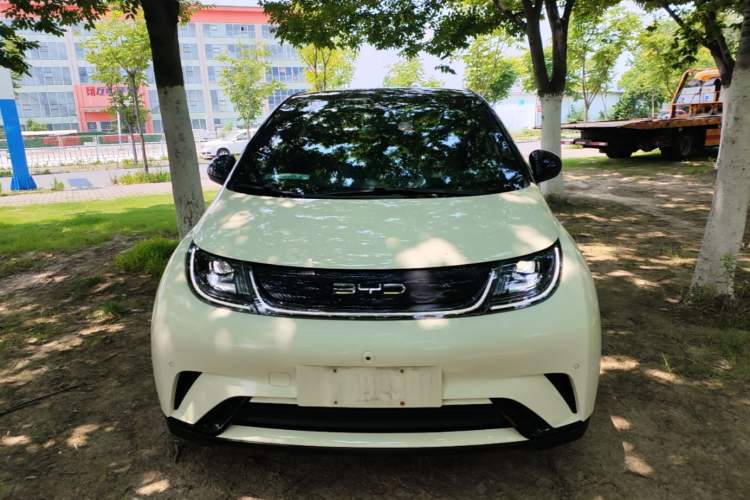 Used BYD Dolphin 2023 420 km Fashion Edition Front