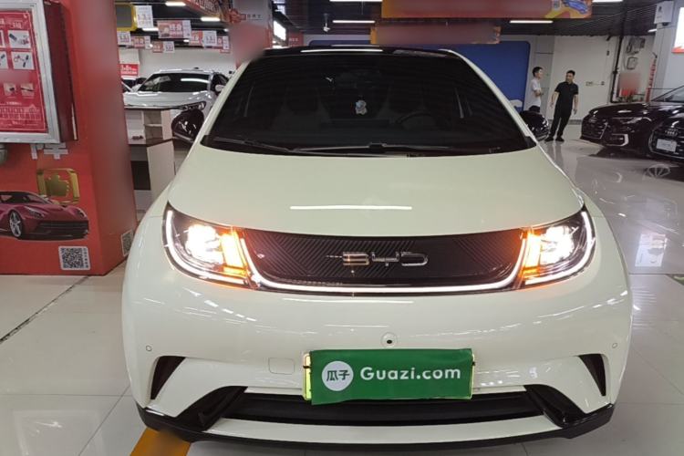 Used BYD Dolphin 2023 420 km Fashion Edition Front