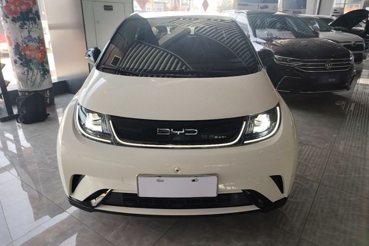Used BYD Dolphin 2023 420 km Free Version Front