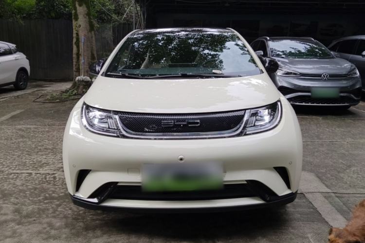 Used BYD Dolphin 2023 420 km Fashion Edition Front