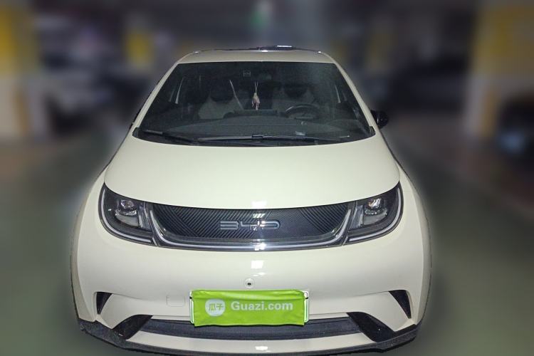 Used BYD Dolphin 2023 420 km Free Version Front