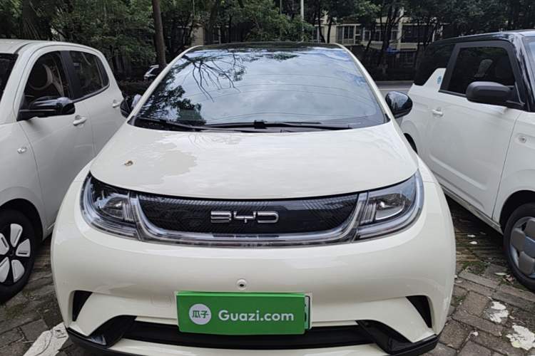 Used BYD Dolphin 2023 420 km Fashion Edition Front