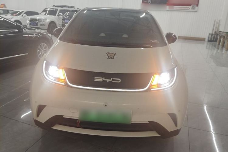 Used BYD Dolphin 2023 420 km Fashion Edition Front
