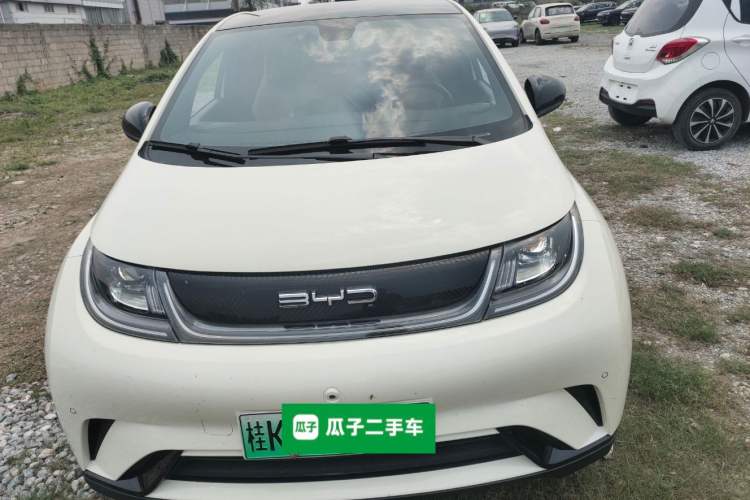 Used BYD Dolphin 2023 420 km Fashion Edition Front