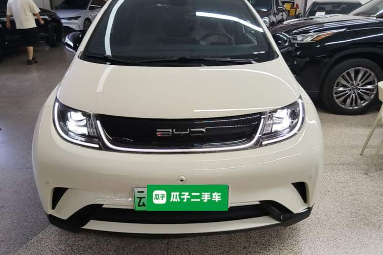 Used BYD Dolphin 2023 420 km Fashion Edition Front