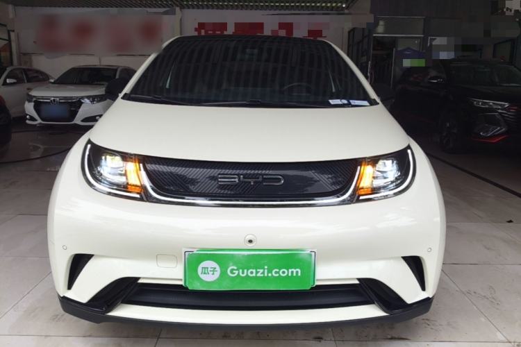 Used BYD Dolphin 2023 420 km Fashion Edition Front