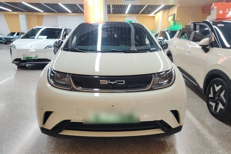 Used BYD Dolphin 2023 420 km Fashion Edition Front