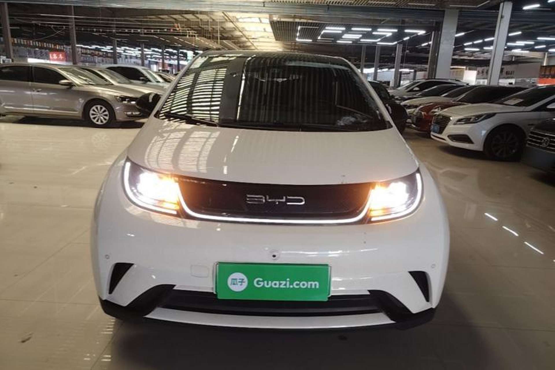 Used BYD Dolphin 2023 420 km Fashion Edition Front