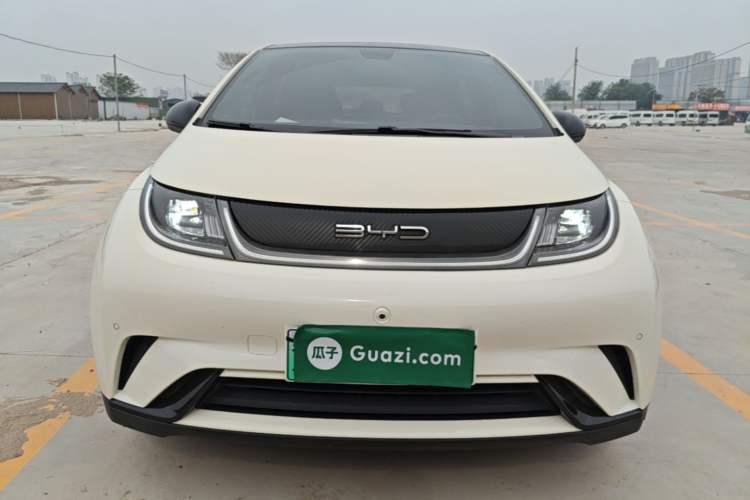 Used BYD Dolphin 2023 420 km Fashion Edition Front