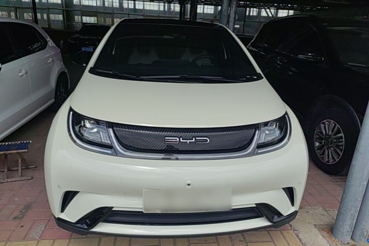 Used BYD Dolphin 2023 420 km Fashion Edition Front