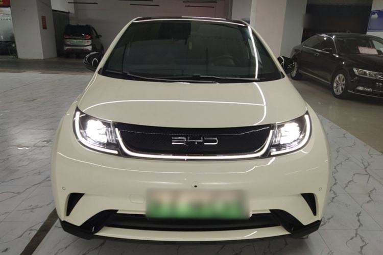 Used BYD Dolphin 2023 420 km Free Version Front