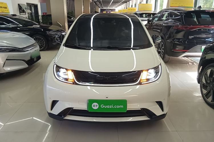 Used BYD Dolphin 2023 420 km Fashion Edition Front