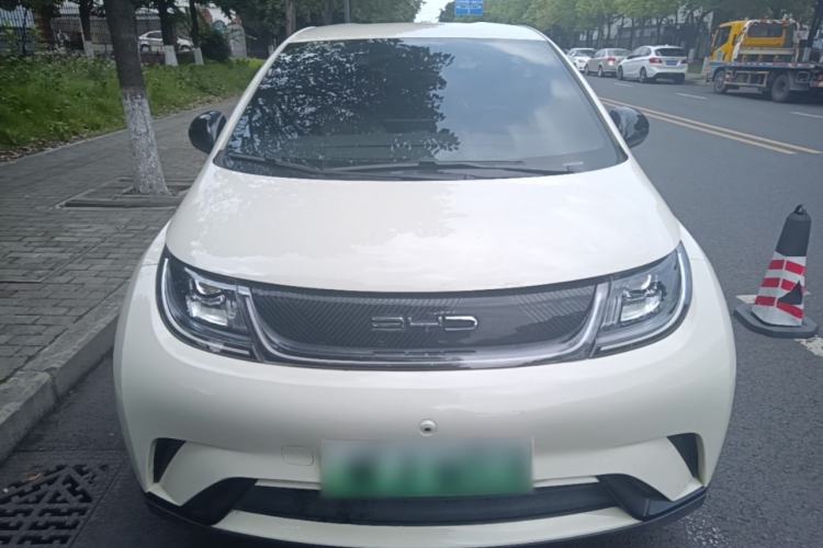 Used BYD Dolphin 2023 420 km Free Version Front