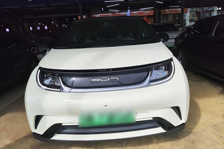 Used BYD Dolphin 2023 420 km Free Version Front