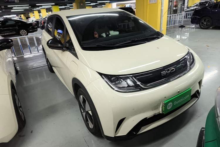 Used BYD Dolphin 2023 420 km Free Version Front Right 45 Deg