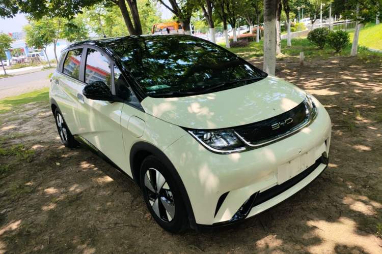 Used BYD Dolphin 2023 420 km Fashion Edition Front Right 45 Deg