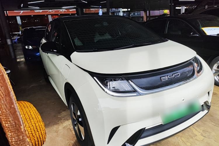 Used BYD Dolphin 2023 420 km Free Version Front Right 45 Deg